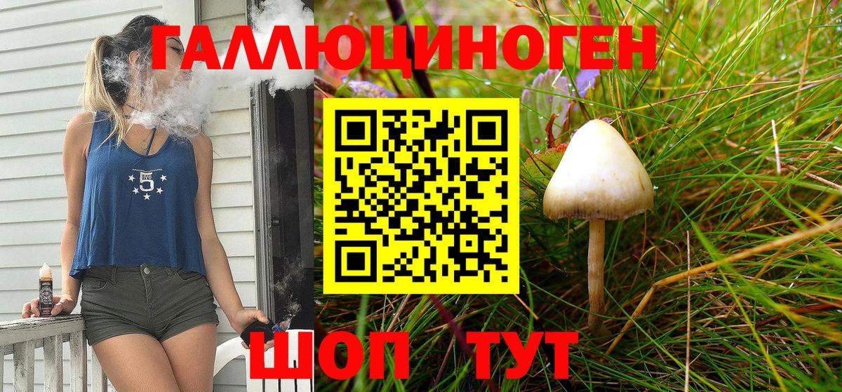 Псилоцибиновые грибы MAGIC MUSHROOMS Пенза